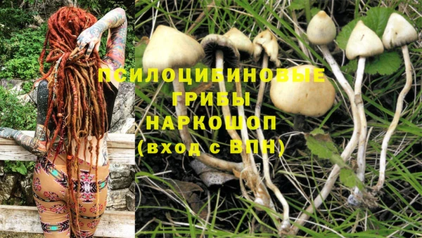 a pvp Осташков